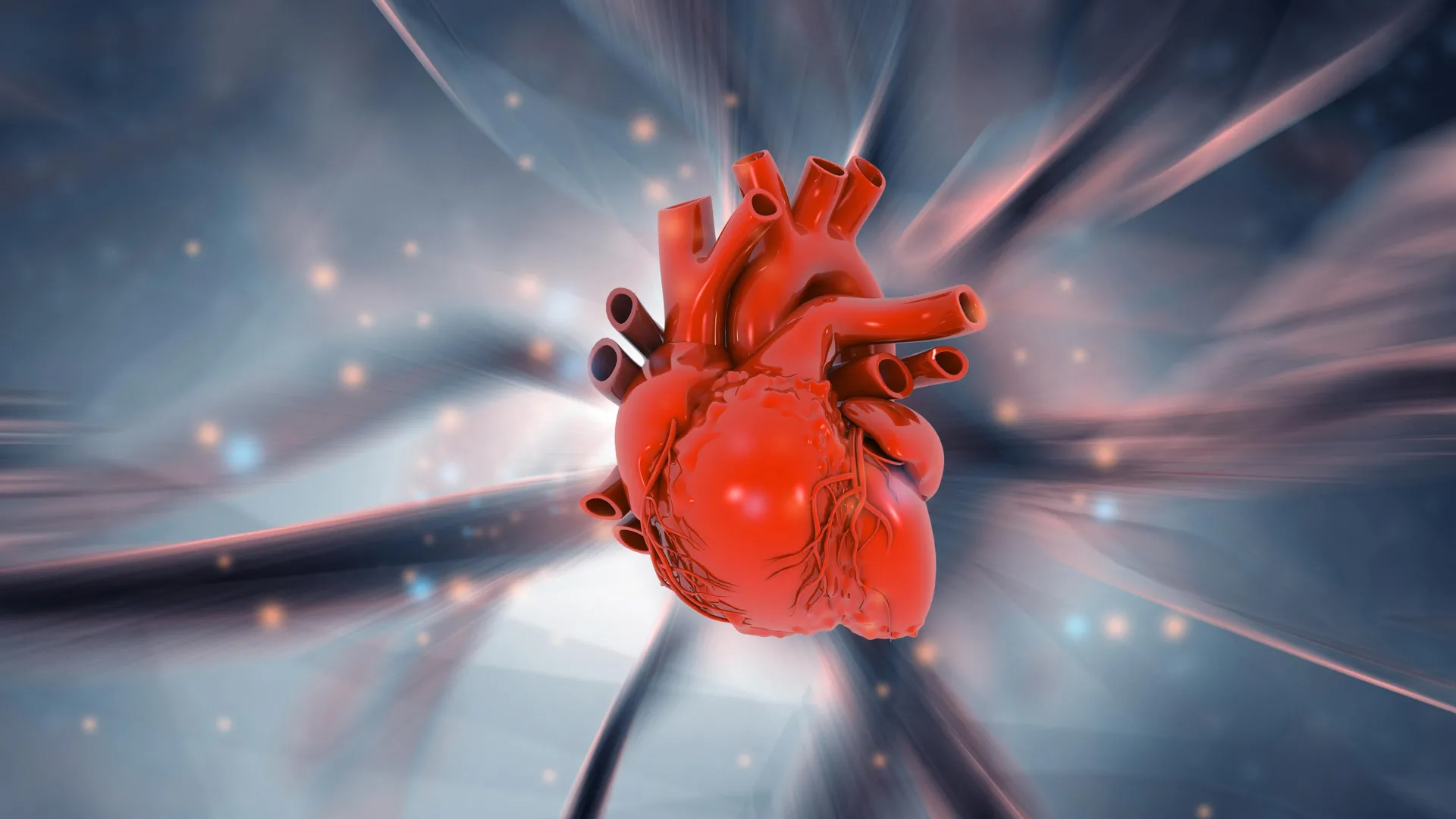 human-heart-anatomy-science-discovery