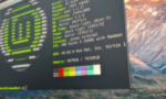 linux-mint-desktop-with-a-customized-version-of-cinnamon-looking-like-macos-having-the-linux-terminal-active-showing-neofetch-1