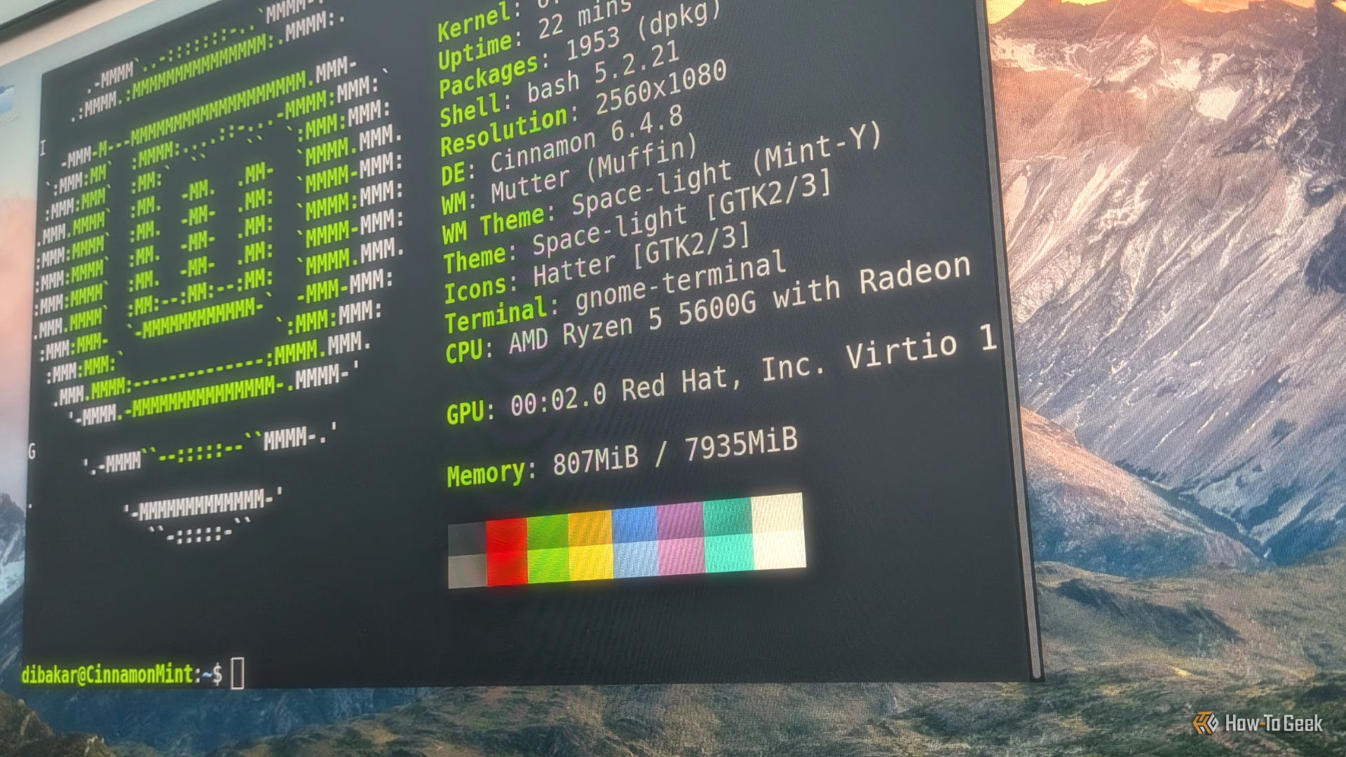 linux-mint-desktop-with-a-customized-version-of-cinnamon-looking-like-macos-having-the-linux-terminal-active-showing-neofetch-1